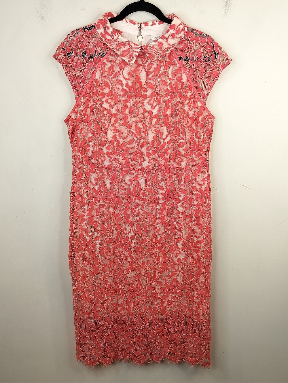Eva Mendes Lace Sheath Dress Peter Pan Collar 20 Women's Romantic Coral Pink